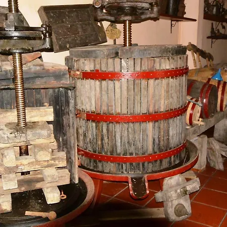 Quinta Nossa Senhora De Lourdes Kır Evi *