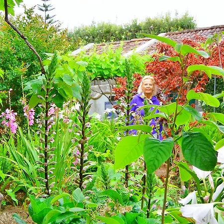 Quinta Nossa Senhora De Lourdes منزل ريفي *