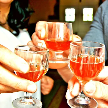 Quinta Nossa Senhora De Lourdes *