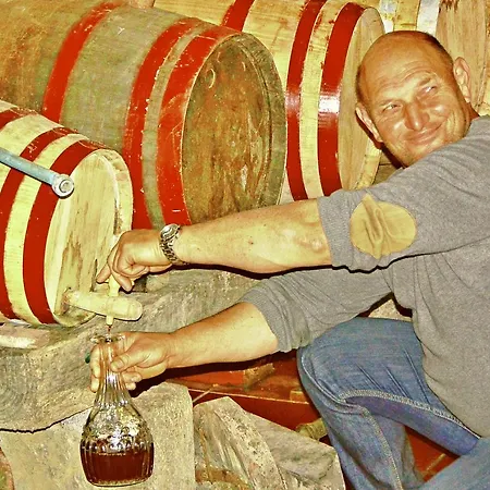 Quinta Nossa Senhora De Lourdes *