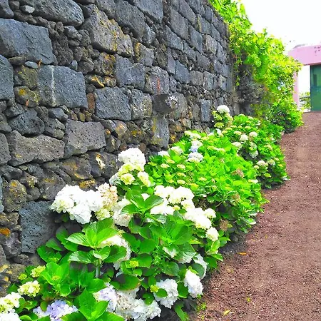 Casa rural Quinta Nossa Senhora De Lourdes Capelas