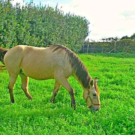 Quinta Nossa Senhora De Lourdes