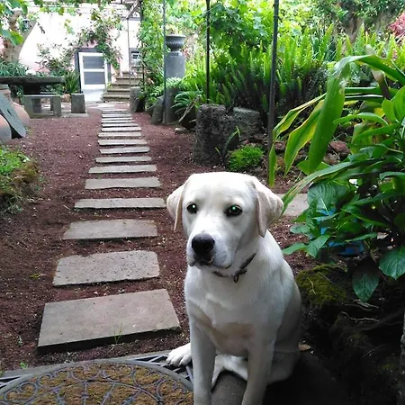 Quinta Nossa Senhora De Lourdes