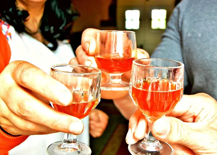 Quinta Nossa Senhora De Lourdes *