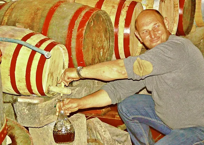 Quinta Nossa Senhora De Lourdes *