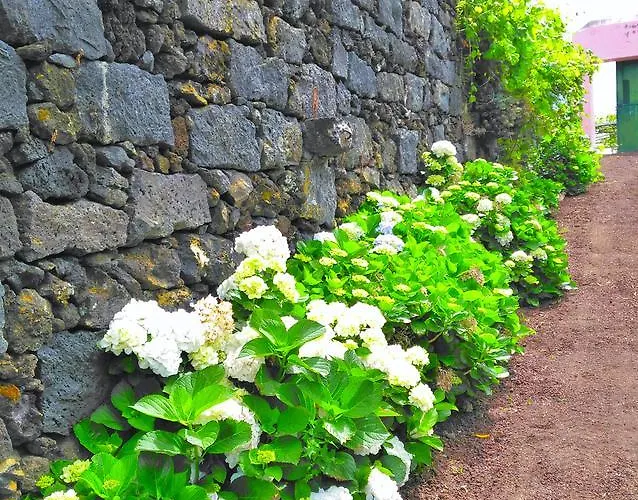 Hétvégi ház Quinta Nossa Senhora De Lourdes Capelas