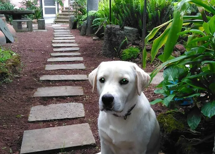 Quinta Nossa Senhora De Lourdes